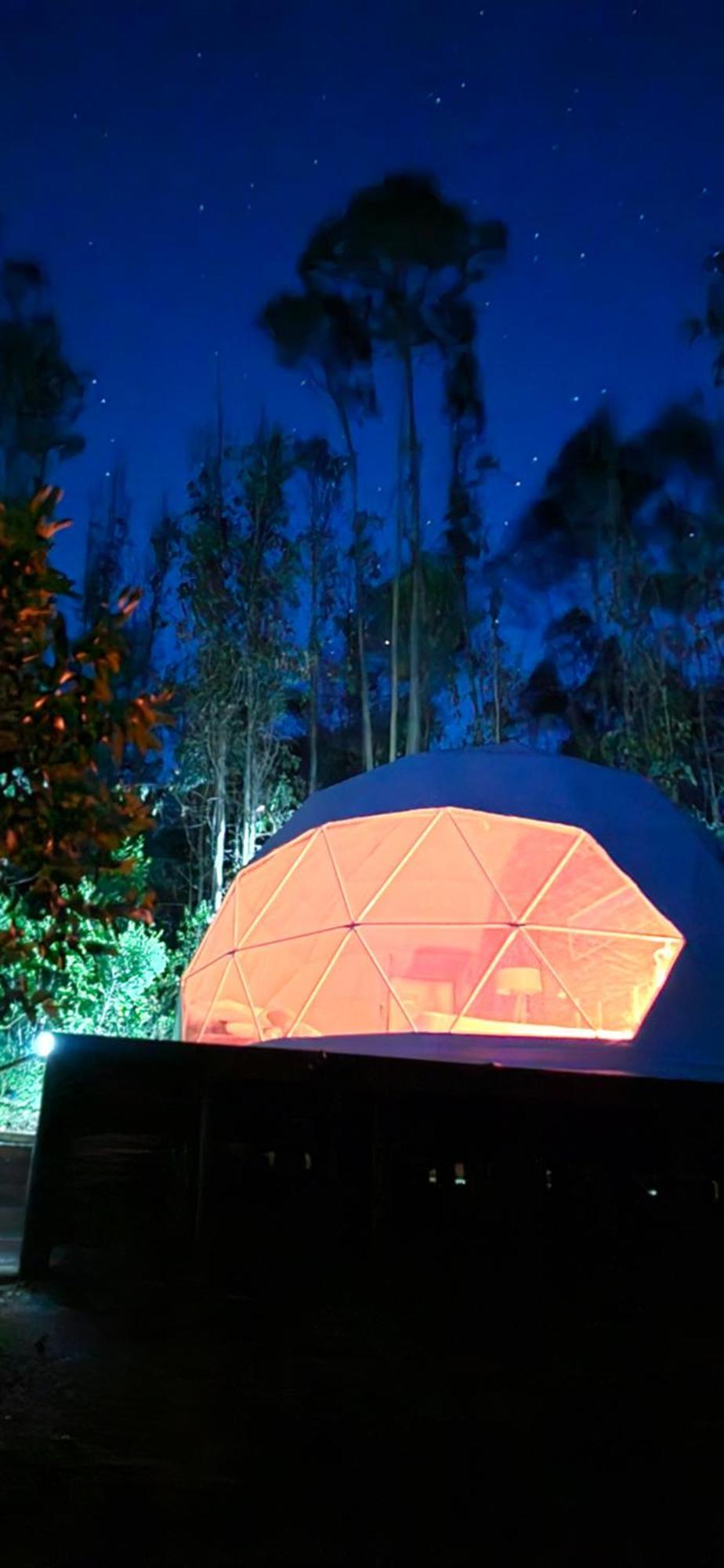 Domo En Medio Del Bosque Con Wifi Campsite Pitrufquen